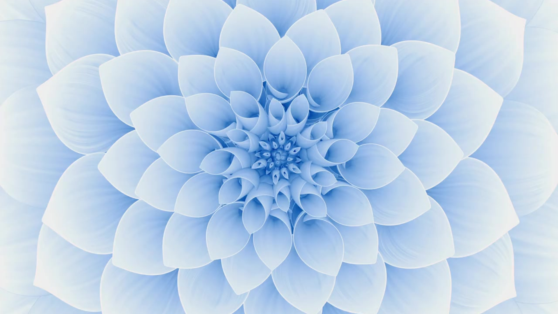 Image of light blue fractal flower